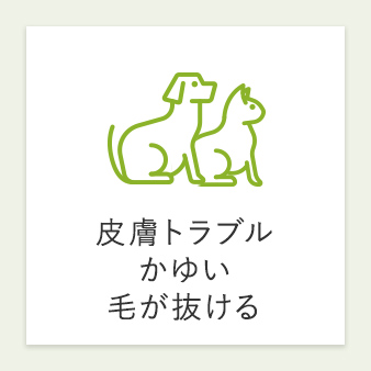 皮膚トラブル かゆい 毛が抜ける