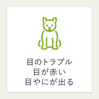 目のトラブル 目が赤い 目やにが出る