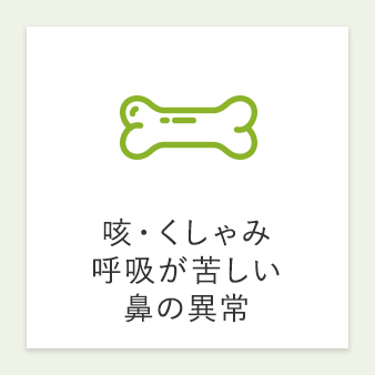 咳・くしゃみ 呼吸が苦しい 鼻の異常
