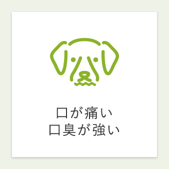 口が痛い 口臭が強い